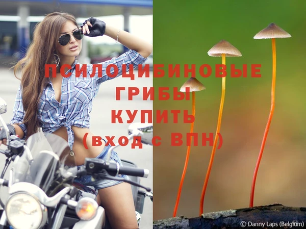 стаф Беломорск
