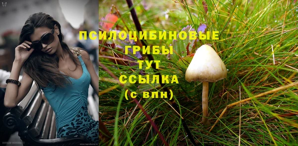 бутират Белокуриха
