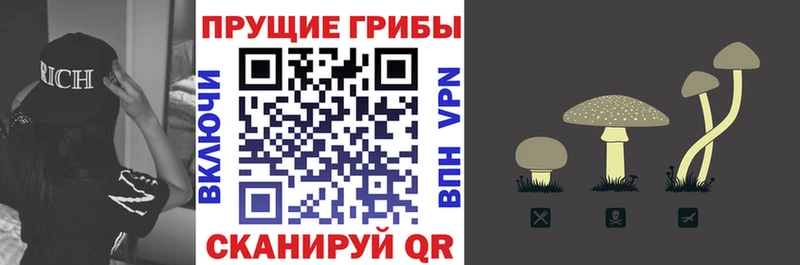Псилоцибиновые грибы Magic Shrooms  Верхотурье 